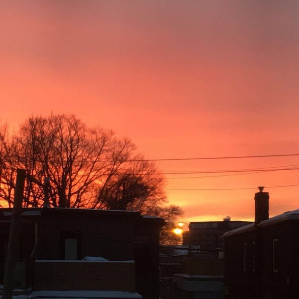 Meet your Posher, Julie